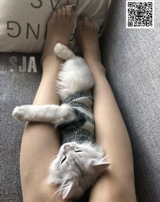 日漫推荐深夜观看_HD高清完整版播放