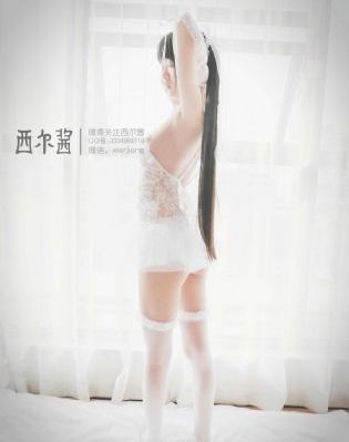 《向风而行》电视剧_BD神马影院手机在线